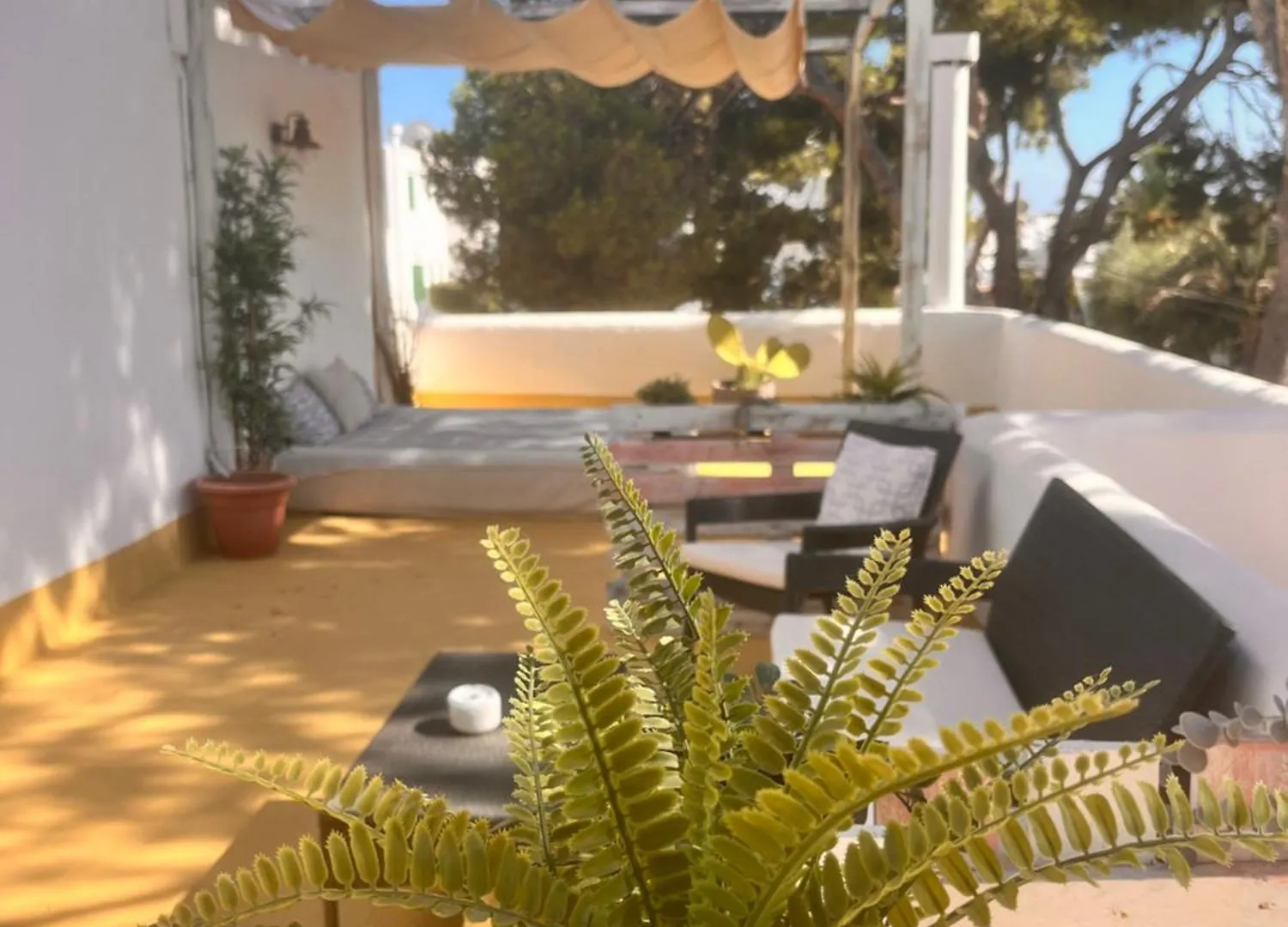 Hotel Casa Ceiba Maria Cala D´Or