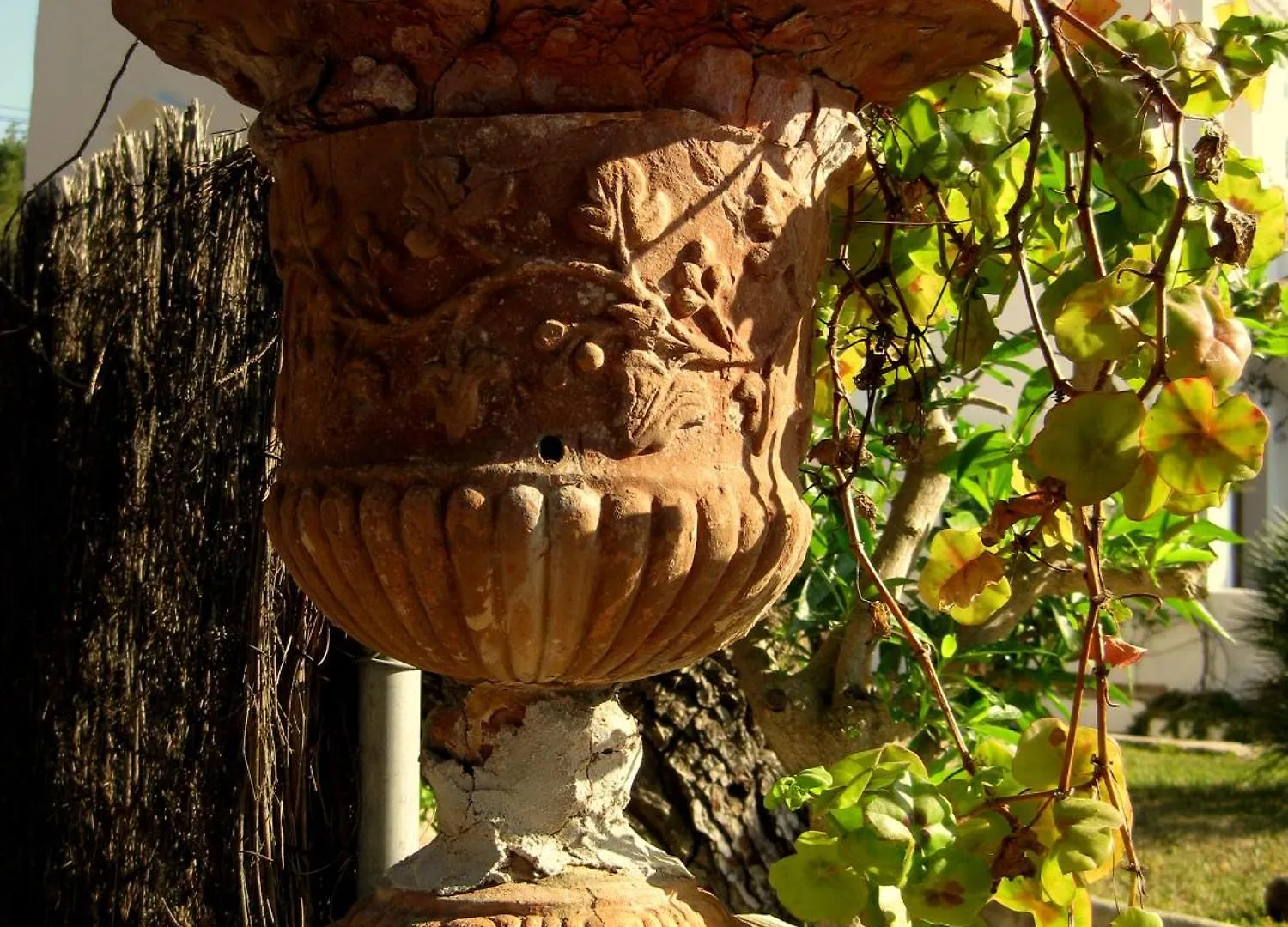 Hotel Casa Ceiba Maria Cala D´Or Penzion