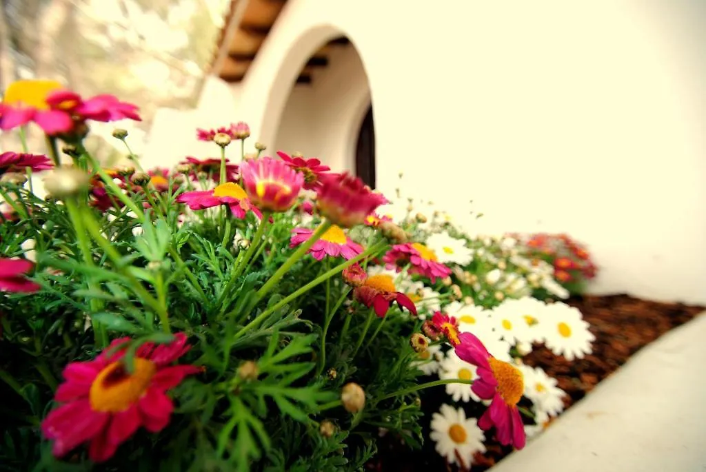 Guest house Casa Ceiba Maria Hotel Cala d'Or
