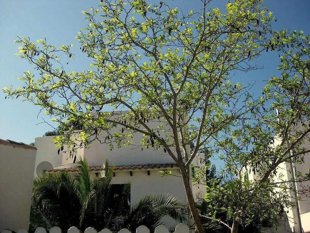Casa Ceiba Maria Hotel Cala d'Or